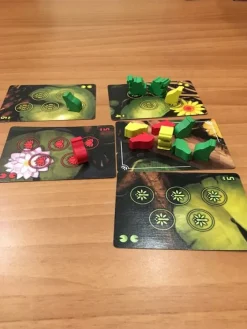 Thunderworks Games 1 Persoonspellen (Solo)>Cartographers: A Roll Player Tale