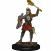 WizKids Miniaturen>D&D Icons Of The Realms Premium Figures: Human Cleric Female