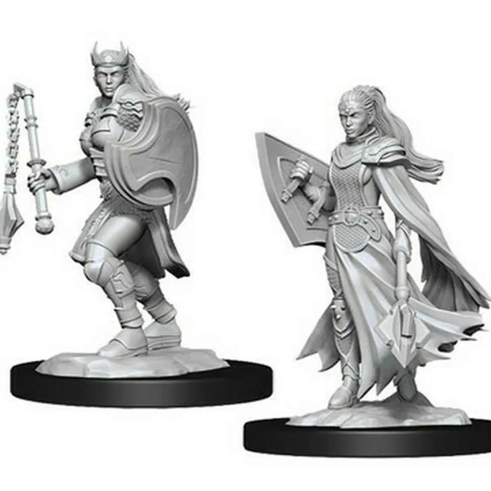 WizKids Miniaturen>D&D Nolzur'S Marvelous Miniatures: Kalashtar Cleric Female
