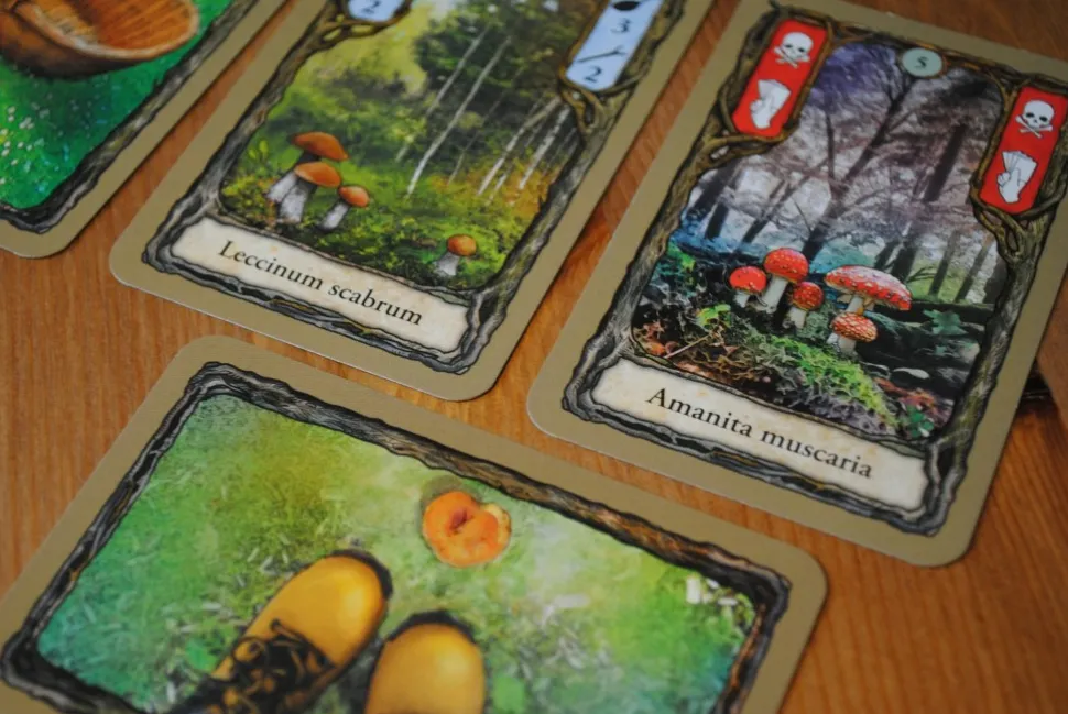 Pegasus Spiele Kaartspellen>Fungi - Kaartspel
