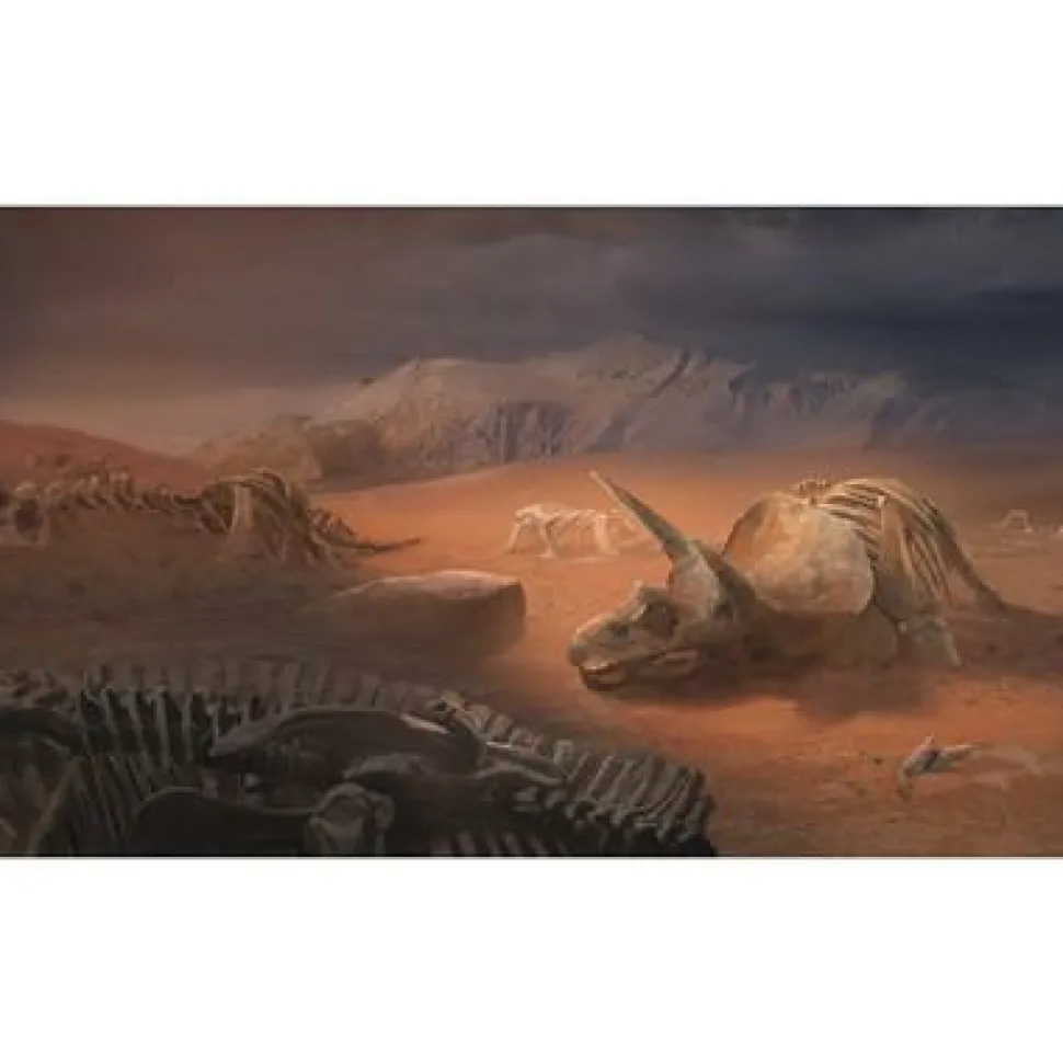 Space Cowboys Unlock>Unlock! 4 - Exotische Avonturen