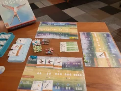 999 Games Kaartspellen>Wingspan Nl Bordspel